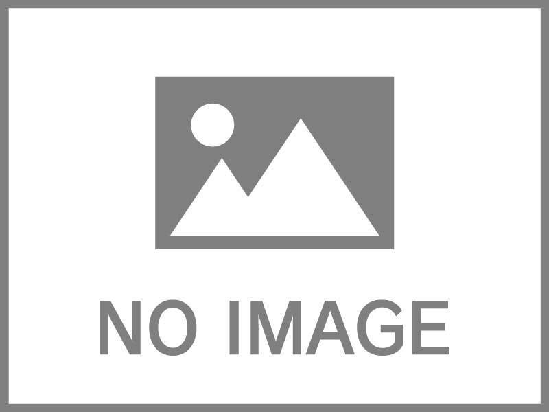 売土地　南国市立田　縁不動産