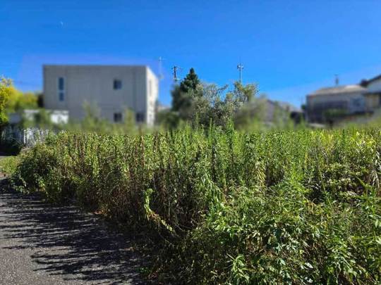 売土地　高知市種崎　縁不動産